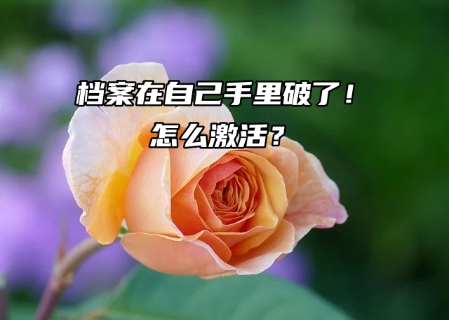 档案在自己手里破了！怎么激活？