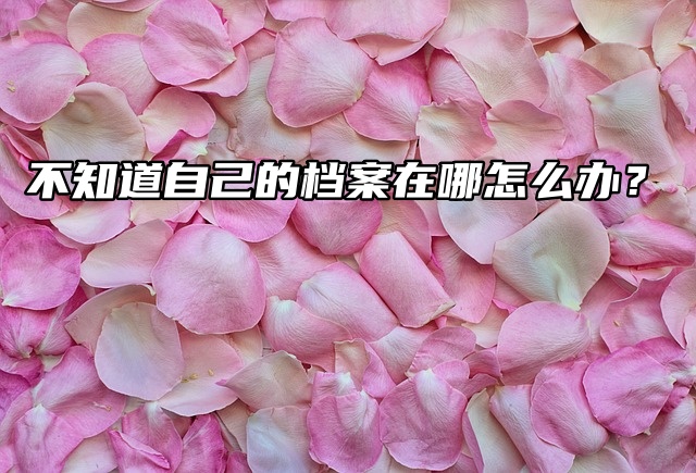 考研档案查询平台：不知道自己的档案在哪怎么办？