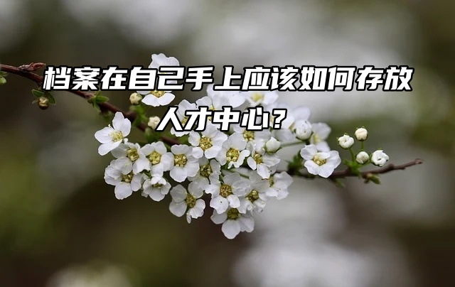 存档步骤：档案在自己手上应该如何存放人才中心？