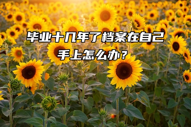 激活托管：毕业十几年了档案在自己手上怎么办？