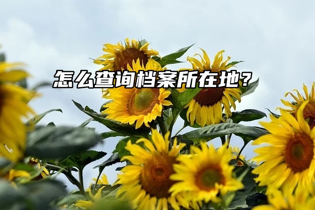 档案查询：查询档案所在地从什么地方入手？