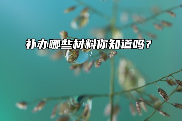 档案补办，补办哪些材料你知道吗？