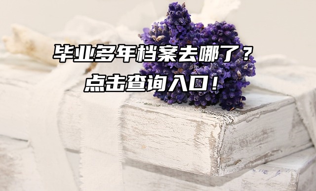 毕业多年档案去哪了？点击查询入口！