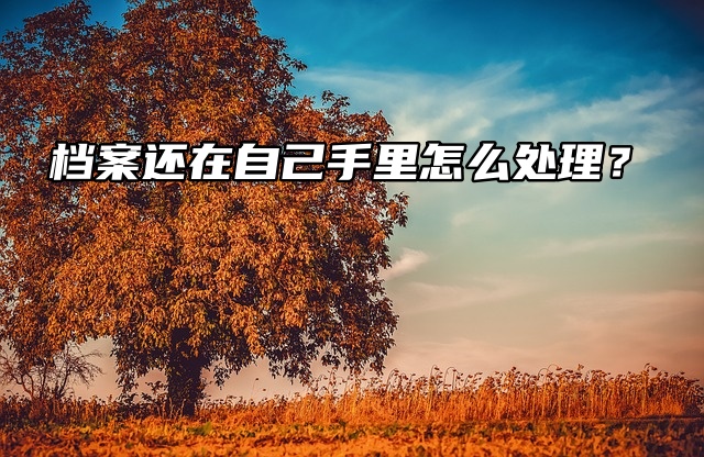 即将政审，档案还在自己手里怎么处理？