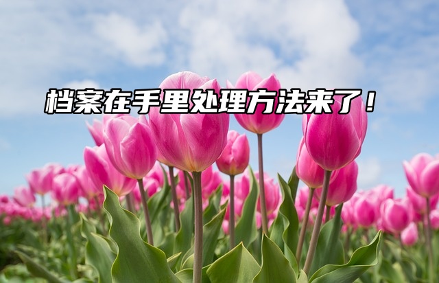 档案托管：档案在手里处理方法来了！