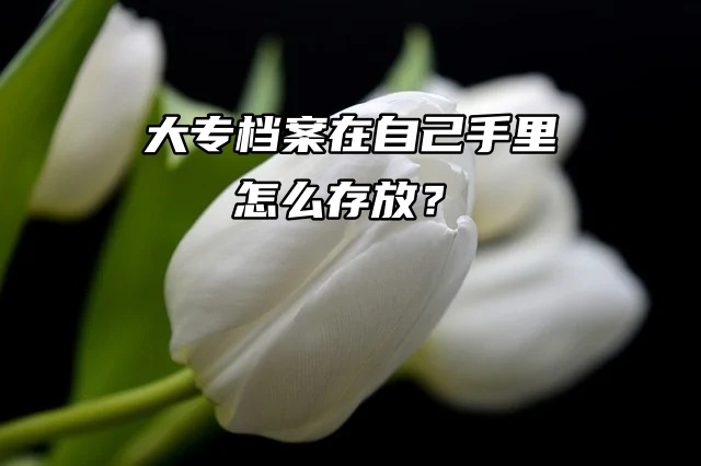 存档小妙招来了！大专档案在自己手里怎么存放？