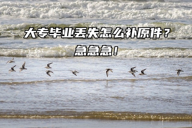 大专毕业丢失怎么补原件？急急急！