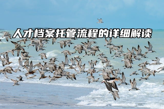 人才档案托管流程的详细解读来啦！