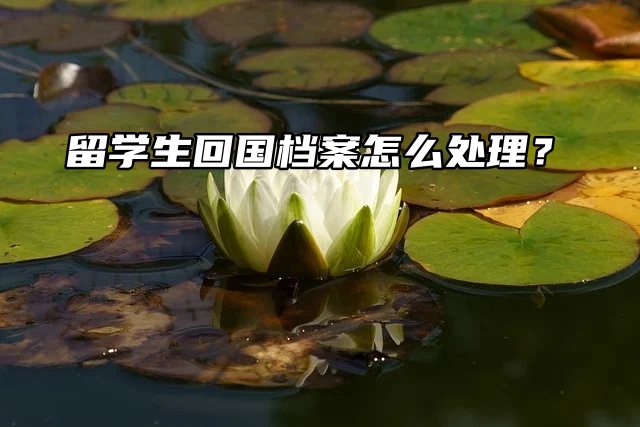 留学生注意了！留学生回国档案怎么处理？