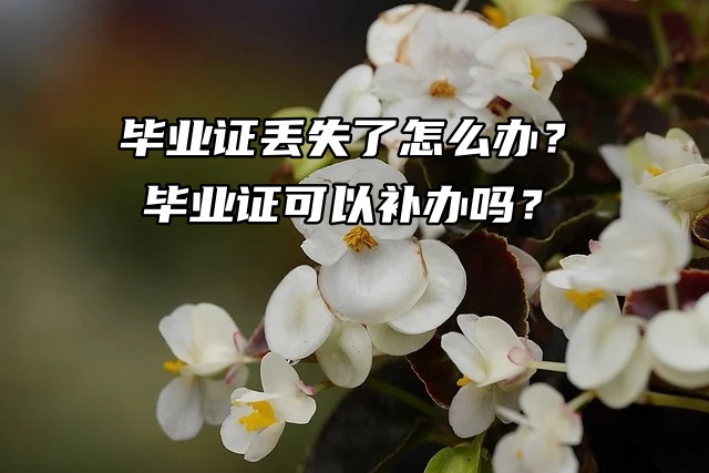 毕业证丢失了怎么办？毕业证可以补办吗？
