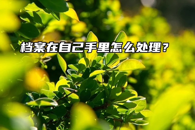 考研档案知识必看！档案在自己手里怎么处理？