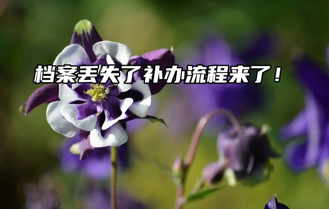 档案丢失了补办流程来了，一起看看吧！