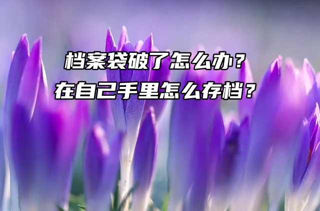 档案袋破了怎么办？在自己手里怎么存档？