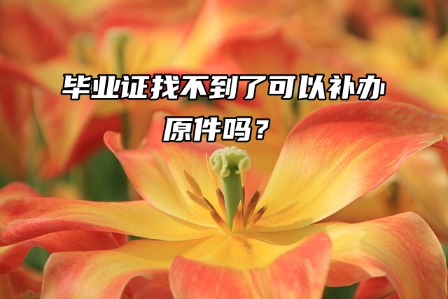 毕业证找不到了可以补办原件吗？一篇教你搞定！