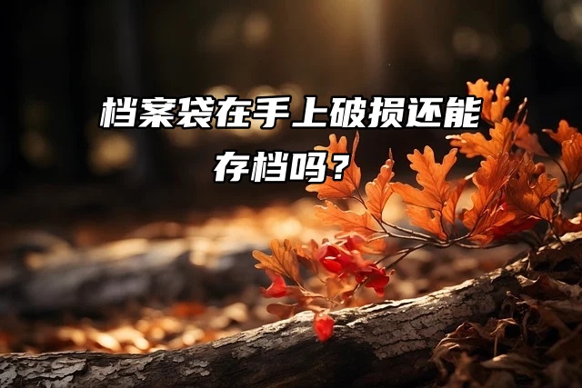 档案袋在手上破损，还能存档吗？