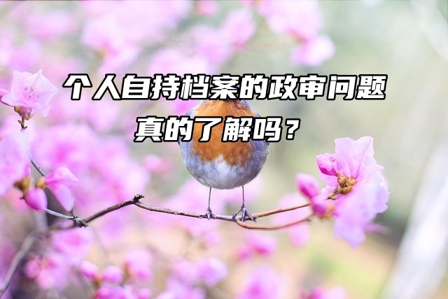个人自持档案的政审问题，真的了解吗？