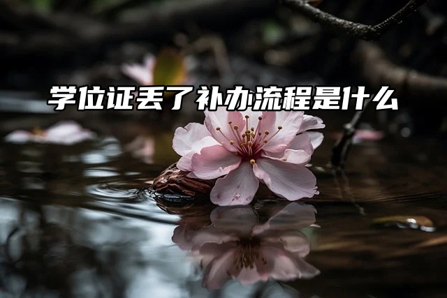 补证小妙招：学位证丢了可以补办吗？