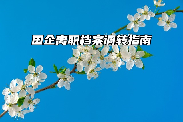 国企离职档案调转指南：从“小白”到“老司机”