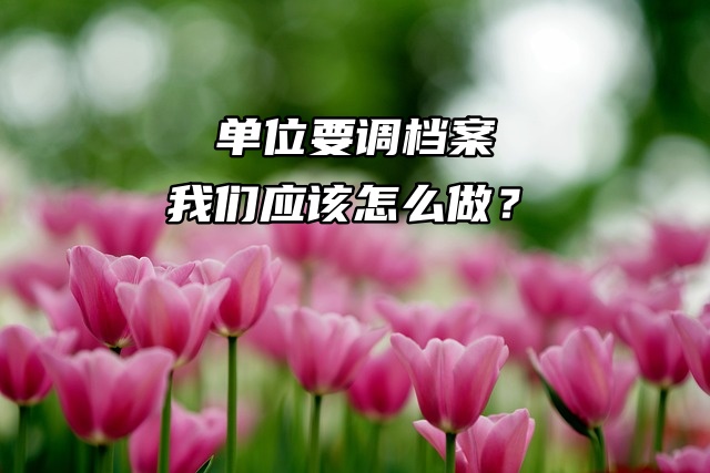 单位要调档案，我们应该怎么做？