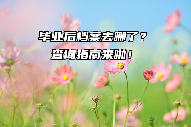 毕业后档案去哪了？查询指南来啦！