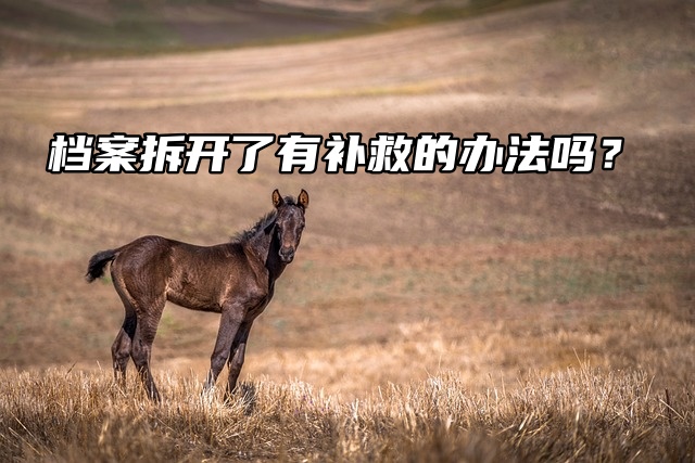 死档激活看一看！档案拆开了有补救的办法吗？