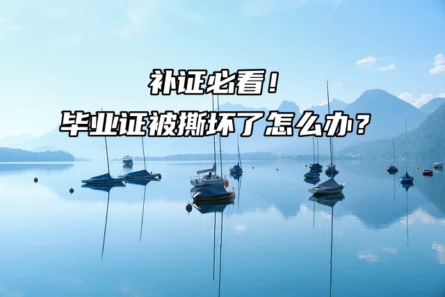 补证必看！毕业证被撕坏了怎么办？