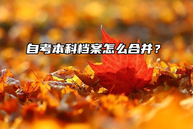 档案问题处理绝招：自考本科档案怎么合并？