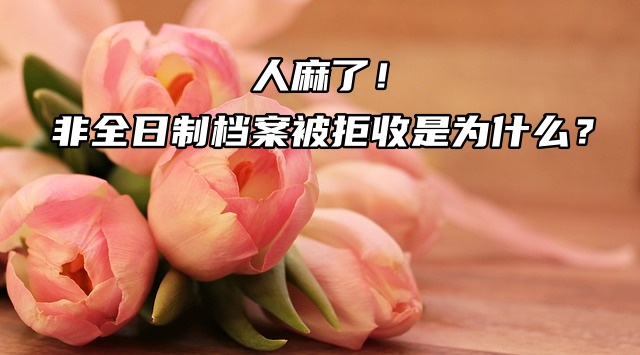 人麻了！非全日制档案被拒收是为什么？