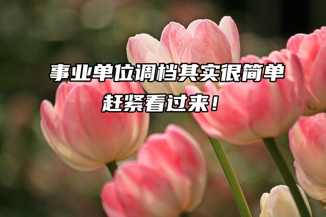 事业单位调档其实很简单，赶紧看过来！