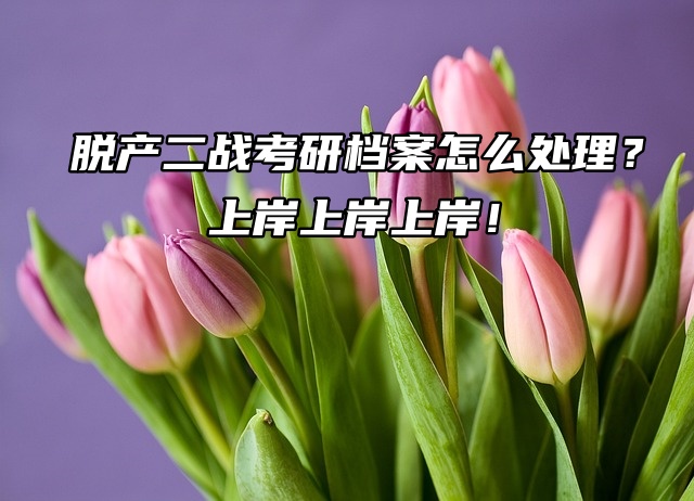 脱产二战考研档案怎么处理？上岸上岸上岸！