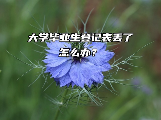 档案急救方法来啦！大学毕业生登记表丢了怎么办？