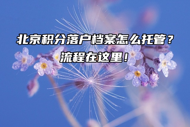 北京积分落户档案怎么托管？流程在这里！