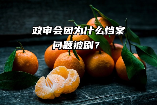 档案问题解析来了！政审会因为什么档案问题被刷？