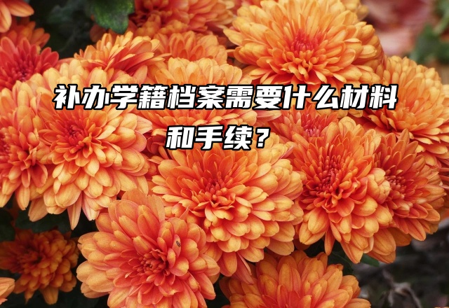 档案补办大揭秘！补办学籍档案需要什么材料和手续？