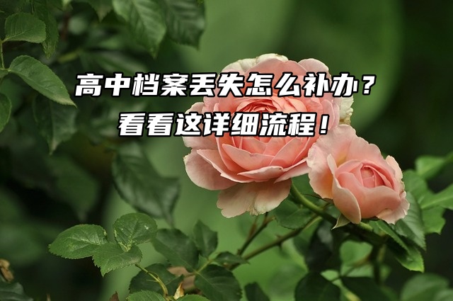 高中档案丢失怎么补办？看看这详细流程！