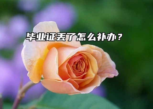 马上要政审了，但毕业证丢了怎么补办？