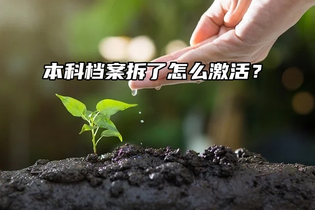 每日一问：本科档案拆了怎么激活？