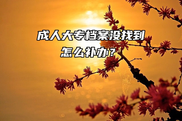 补办档案小技巧：成人大专档案没找到怎么补办？
