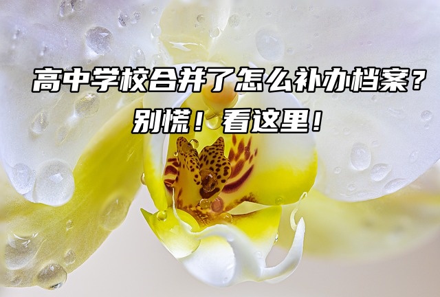 高中学校合并了怎么补办档案？别慌！看这里！