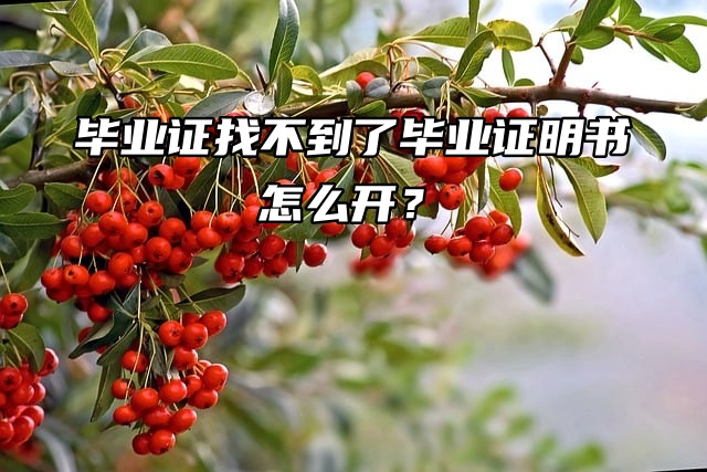 毕业证找不到了，毕业证明书怎么开？