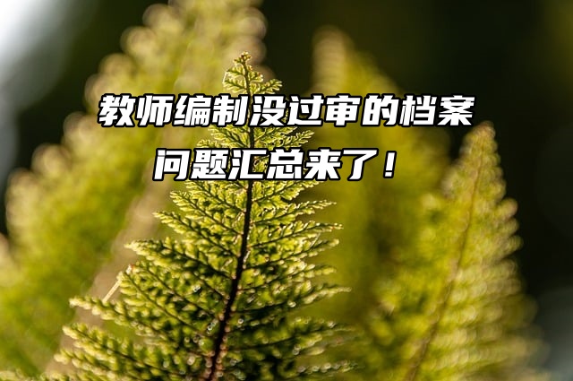 教师编制没过审的档案问题汇总来了！
