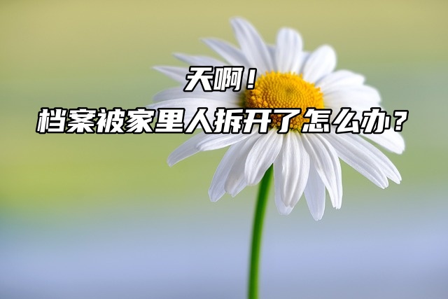 天啊！档案被家里人拆开了怎么办？赶紧密封啊！