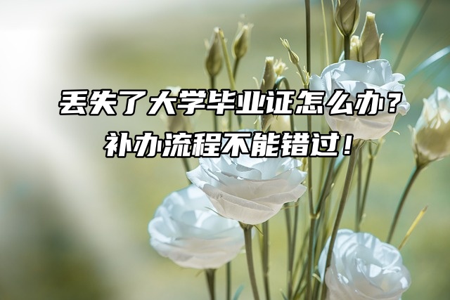 丢失了大学毕业证怎么办？补办流程不能错过！