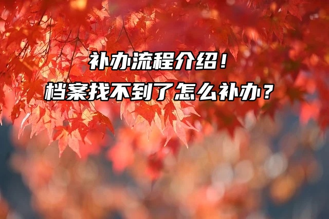 补办流程介绍！档案找不到了怎么补办？