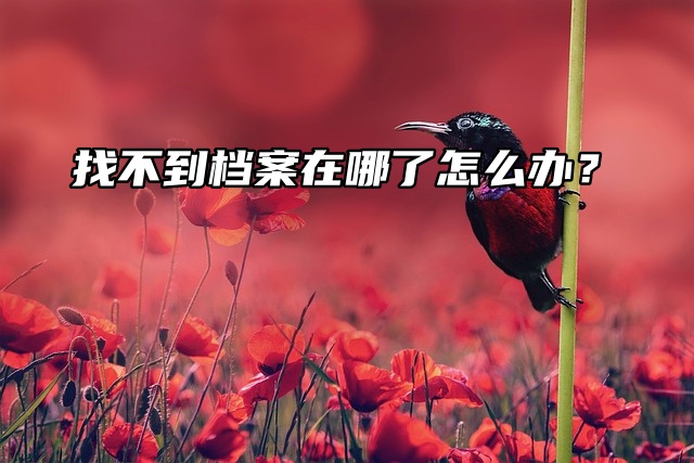 档案查询通道：找不到档案在哪了怎么办？