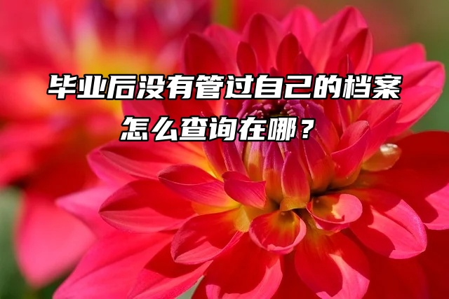 毕业后没有管过自己的档案，怎么查询在哪？