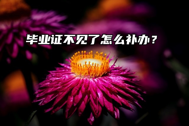 毕业证不见了，可以补办吗？怎么补办？