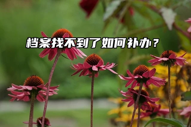 着急，档案找不到了如何补办？