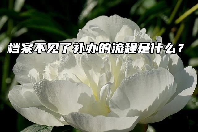 档案不见了！！！补办的流程是什么啊？