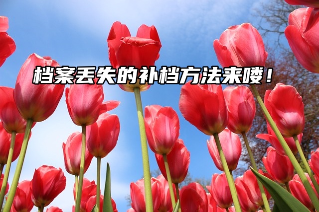 瞧一瞧：档案丢失的补档方法来喽！